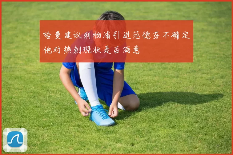 哈曼建议利物浦引进范德芬不确定他对热刺现状是否满意